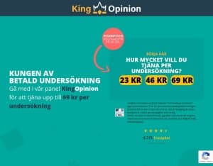 KingOpinion · SE, Surveys