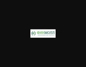 ФИНМОЛЛ · Выдача