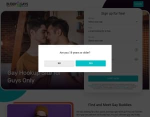 BuddyGays · Desktop & Mobile