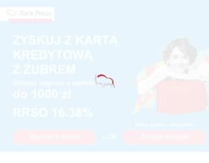 PEKAO · Karta z Żubrem · PL, Business, Cards, Credit card, bank, finance