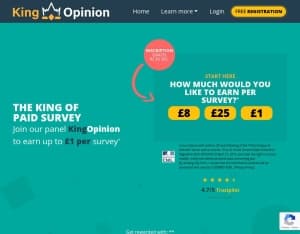 KingOpinion · HT (Incent) (HT), Surveys