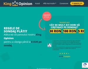KingOpinion · FI (Incent), Surveys